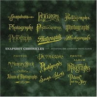 Snapshot Chronicles: Inventing the American Photo Album артикул 9799d.