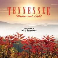Tennessee Wonder and Light артикул 9823d.