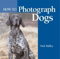 How to Photograph Dogs артикул 9866d.